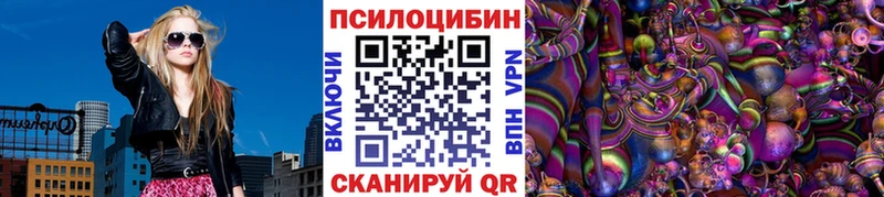 OMG маркетплейс  Тимашёвск  Галлюциногенные грибы Psilocybe 